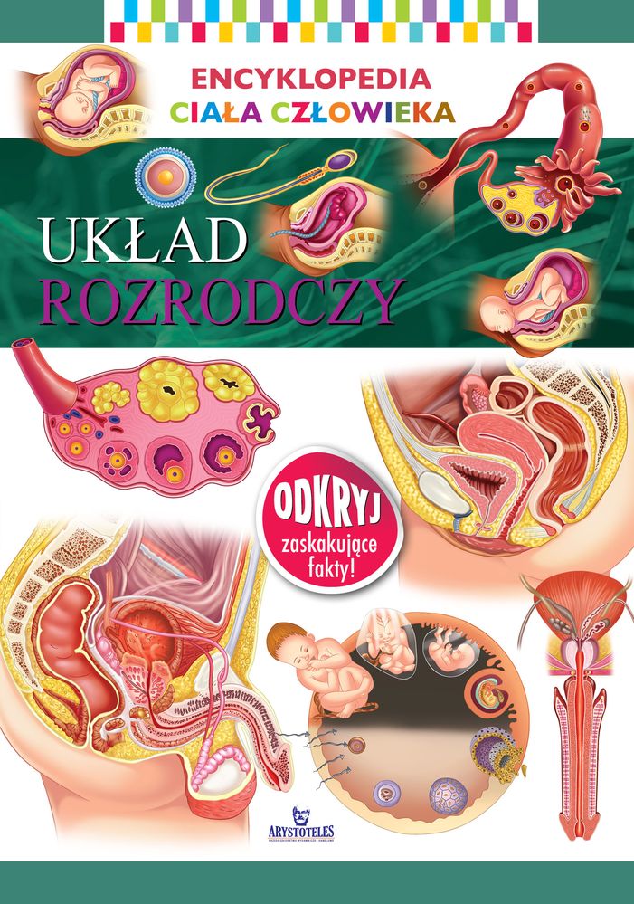 Image of Układ rozrodczy. Encyklopedia ciała człowieka