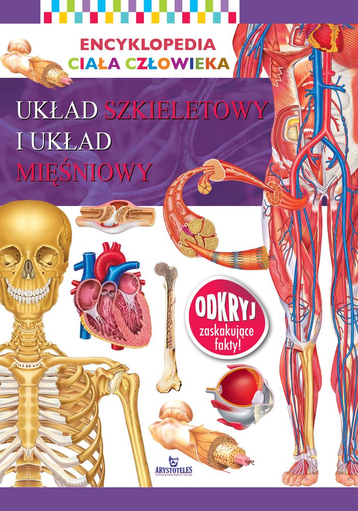 Image of Układ szkieletowy i układ mięśniowy. Encyklopedia ciała człowieka