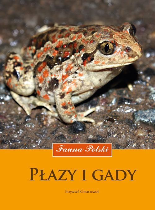 Image of Płazy i gady. Fauna Polski wyd. 2023