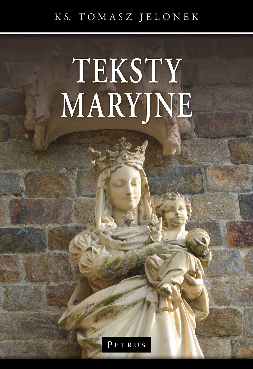 Image of Teksty maryjne