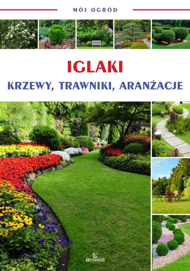 Image of Iglaki, krzewy, trawniki, aranżacje. Mój ogród