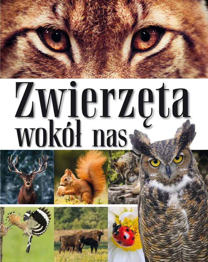 Image of Zwierzęta wokół nas. Encyklopedia dla dzieci
