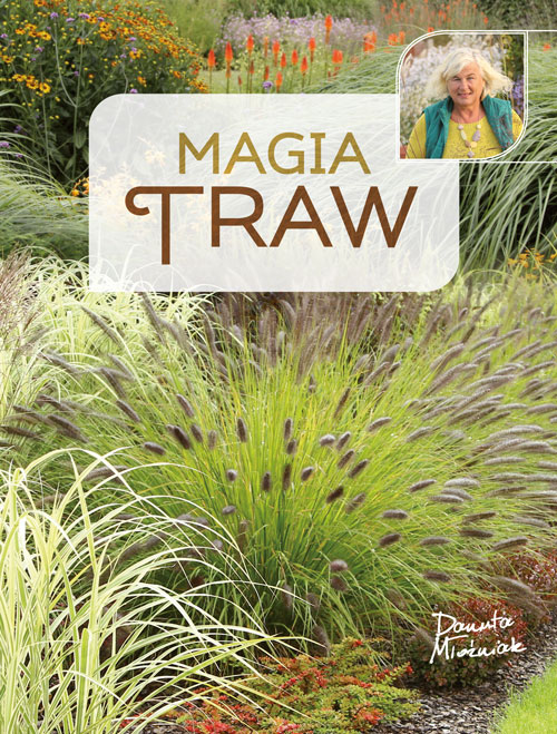 Image of Magia traw