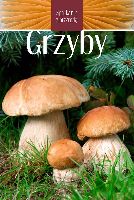 Image of Grzyby. Spotkania z przyrodą wyd. 2023