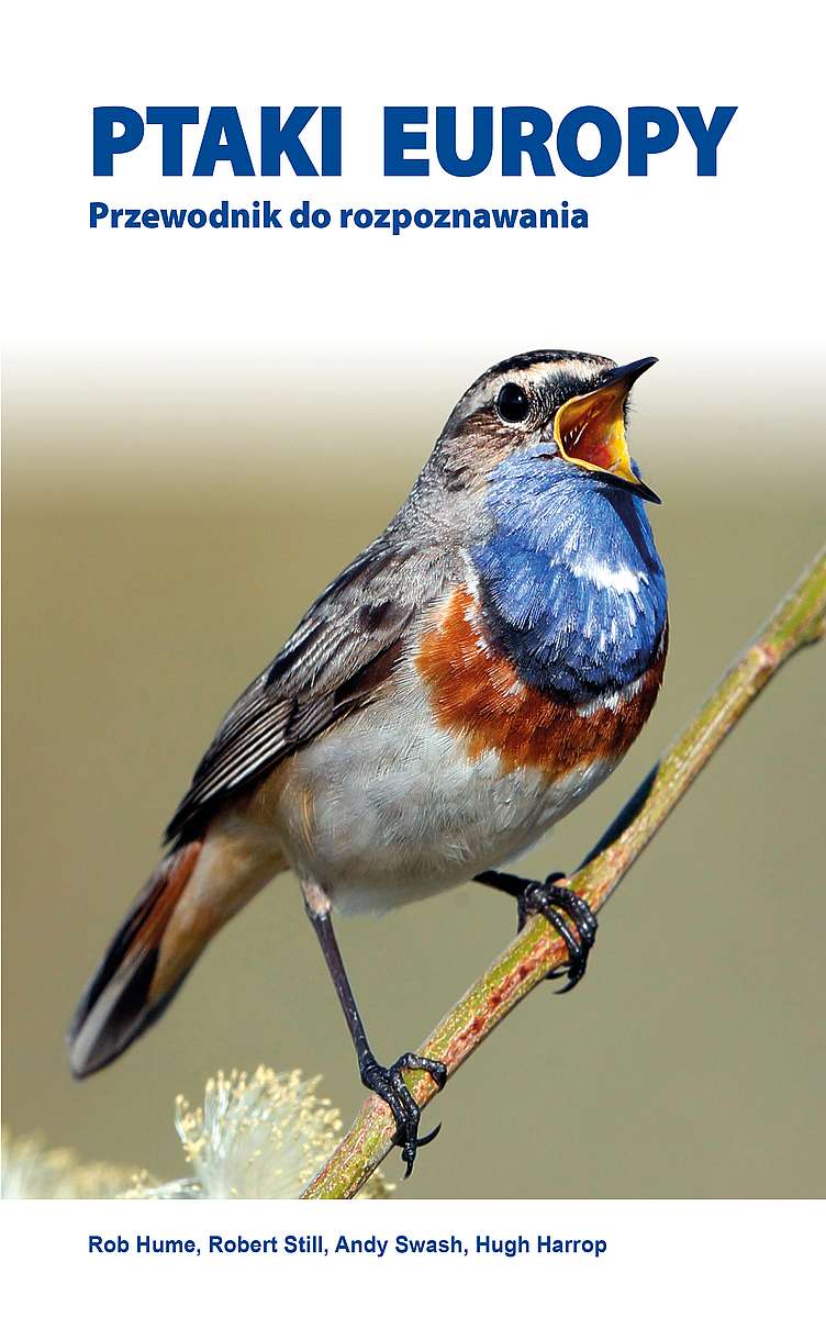 Image of Ptaki Europy. Przewodnik do rozpoznawania