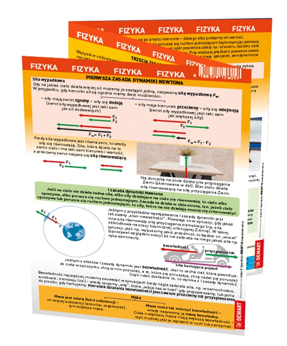 Image of Fizyka. MAXI ściąga