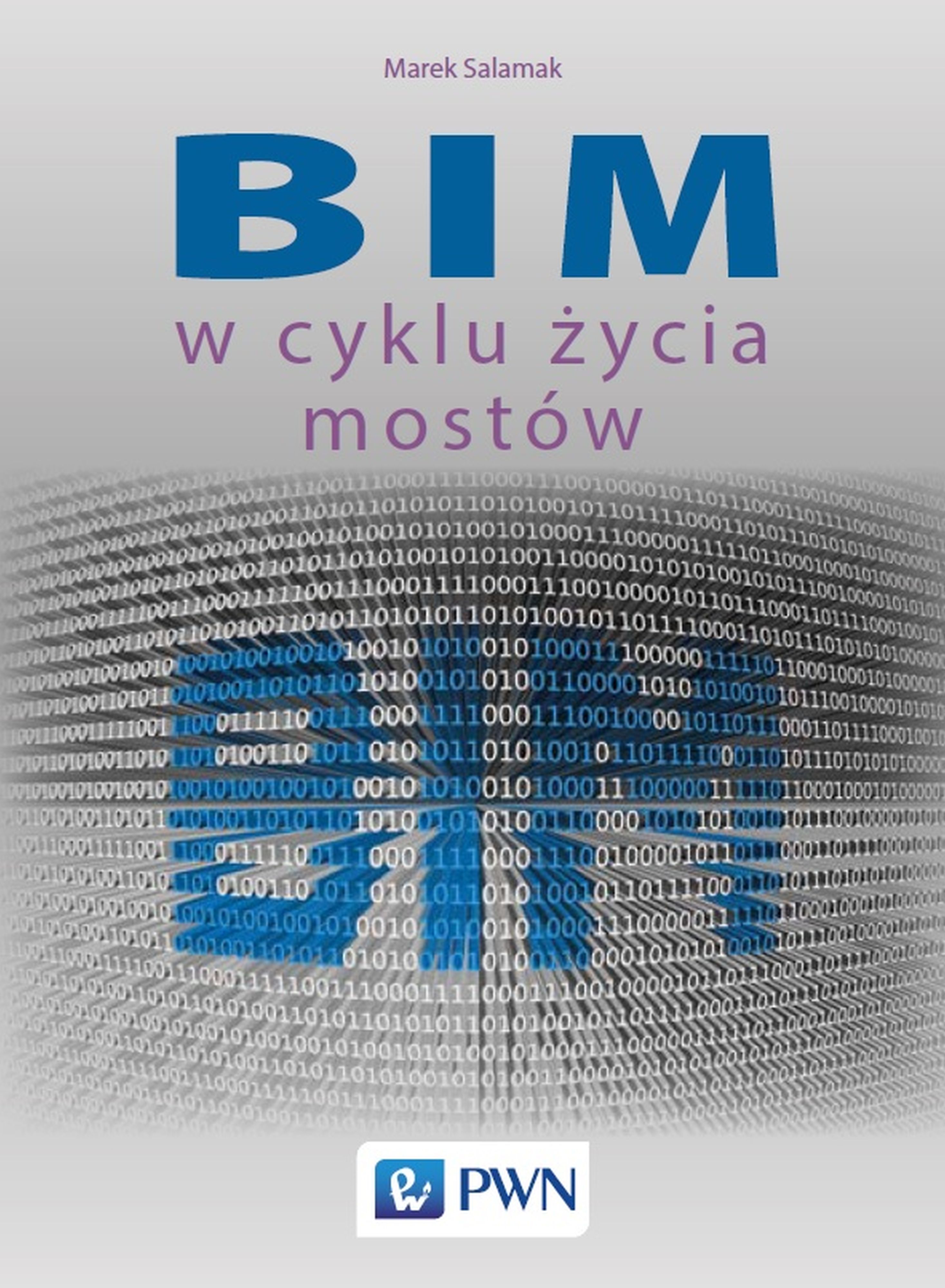 Image of BIM w cyklu życia mostów