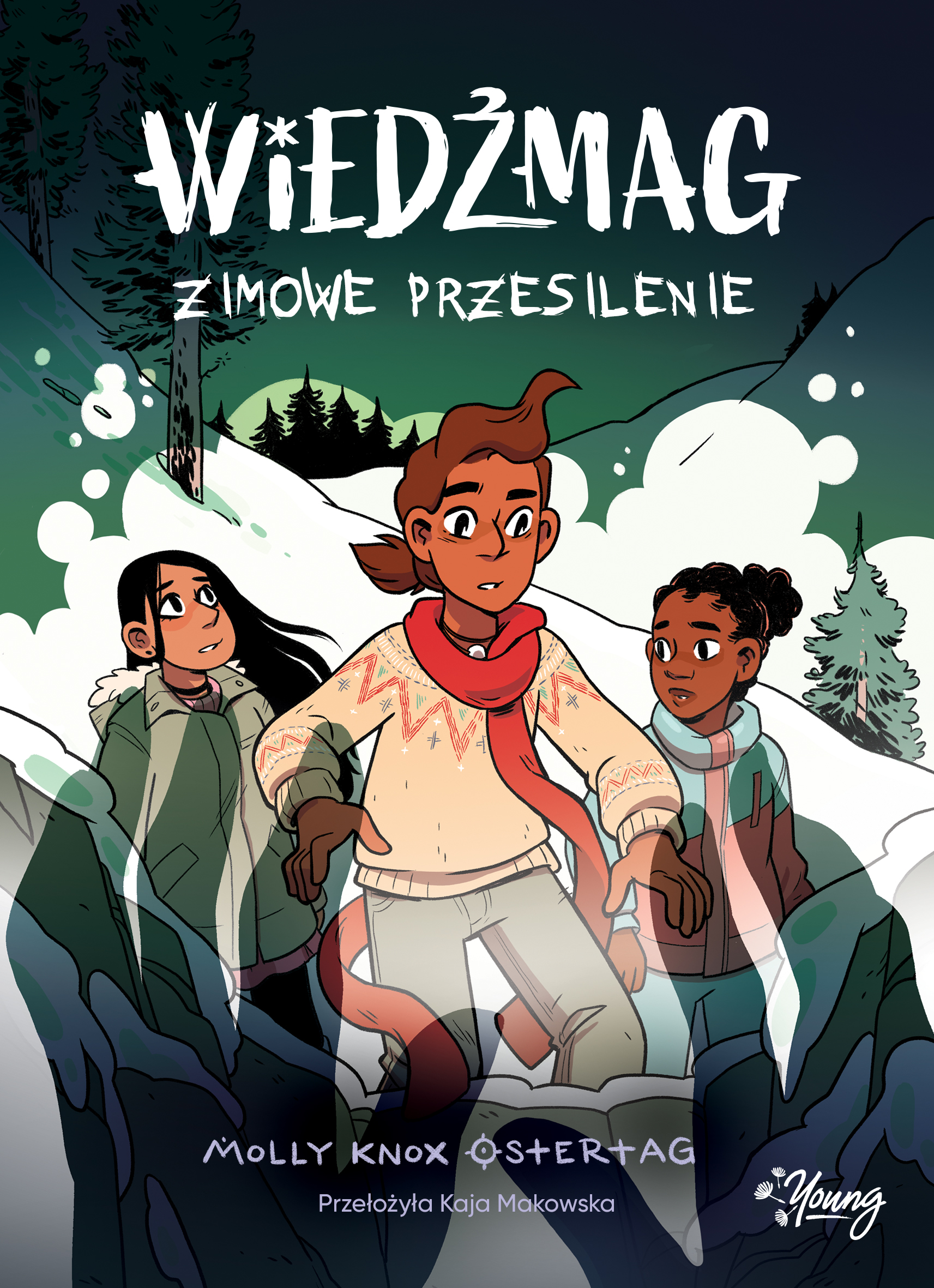 Image of Zimowe przesilenie. Wiedźmag. Tom 3