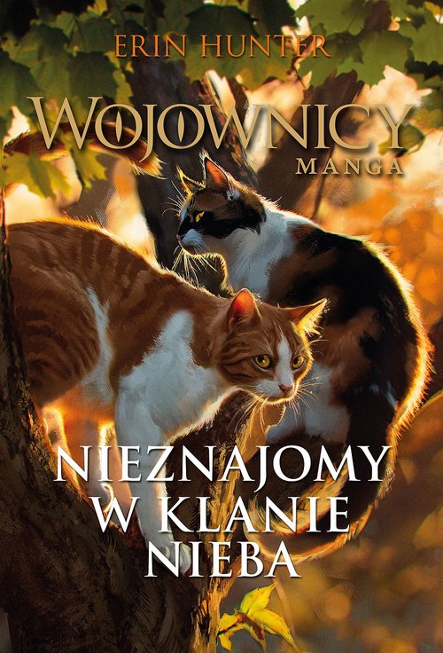 Image of Nieznajomy w Klanie Nieba Wojownicy. Manga