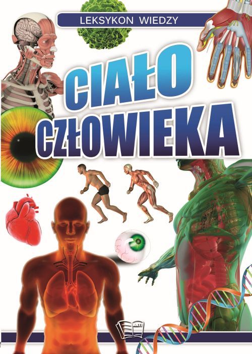 Image of Ciało człowieka leksykon wiedzy