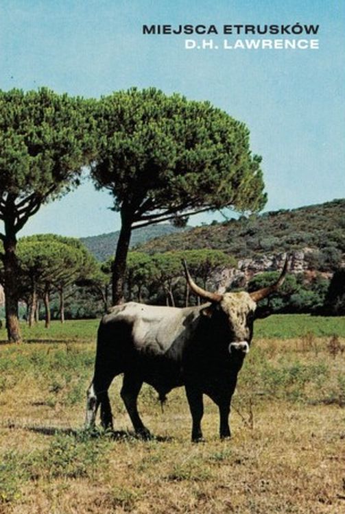 Image of Miejsca Etrusków