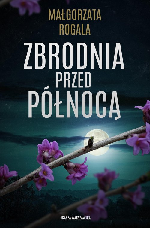 Image of Zbrodnia przed północą