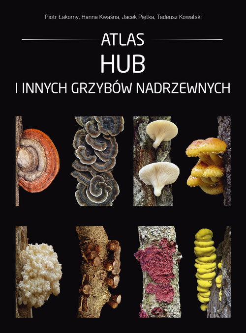 Image of Atlas hub i innych grzybów nadrzewnych
