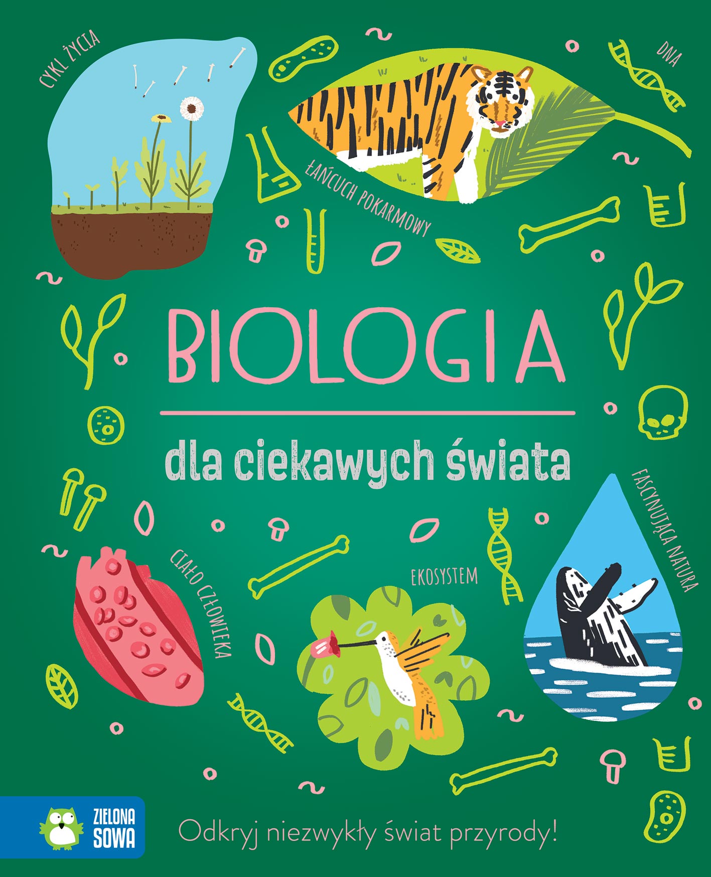 Image of Biologia dla ciekawych świata