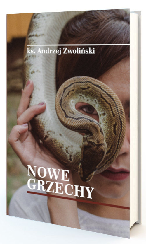 Image of Nowe grzechy