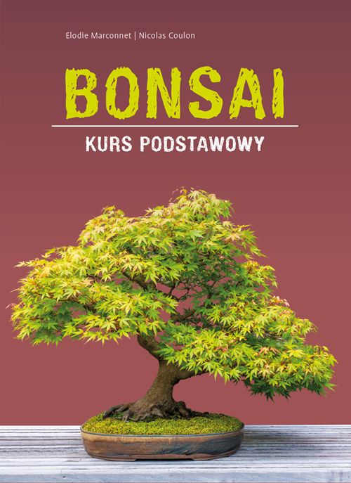 Image of Bonsai. Kurs podstawowy