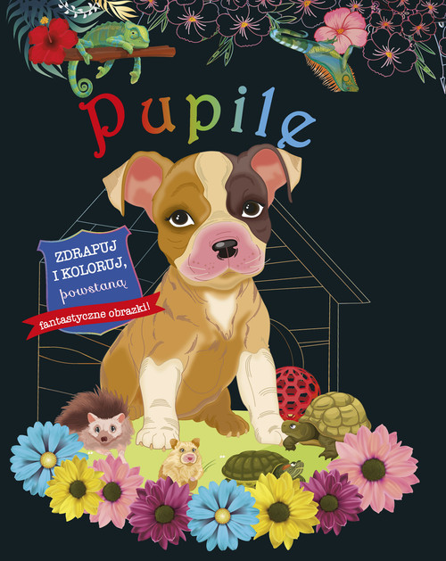Image of Zdrapuj i koloruj Pupile