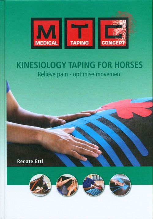Image of Kinesiology taping for horses