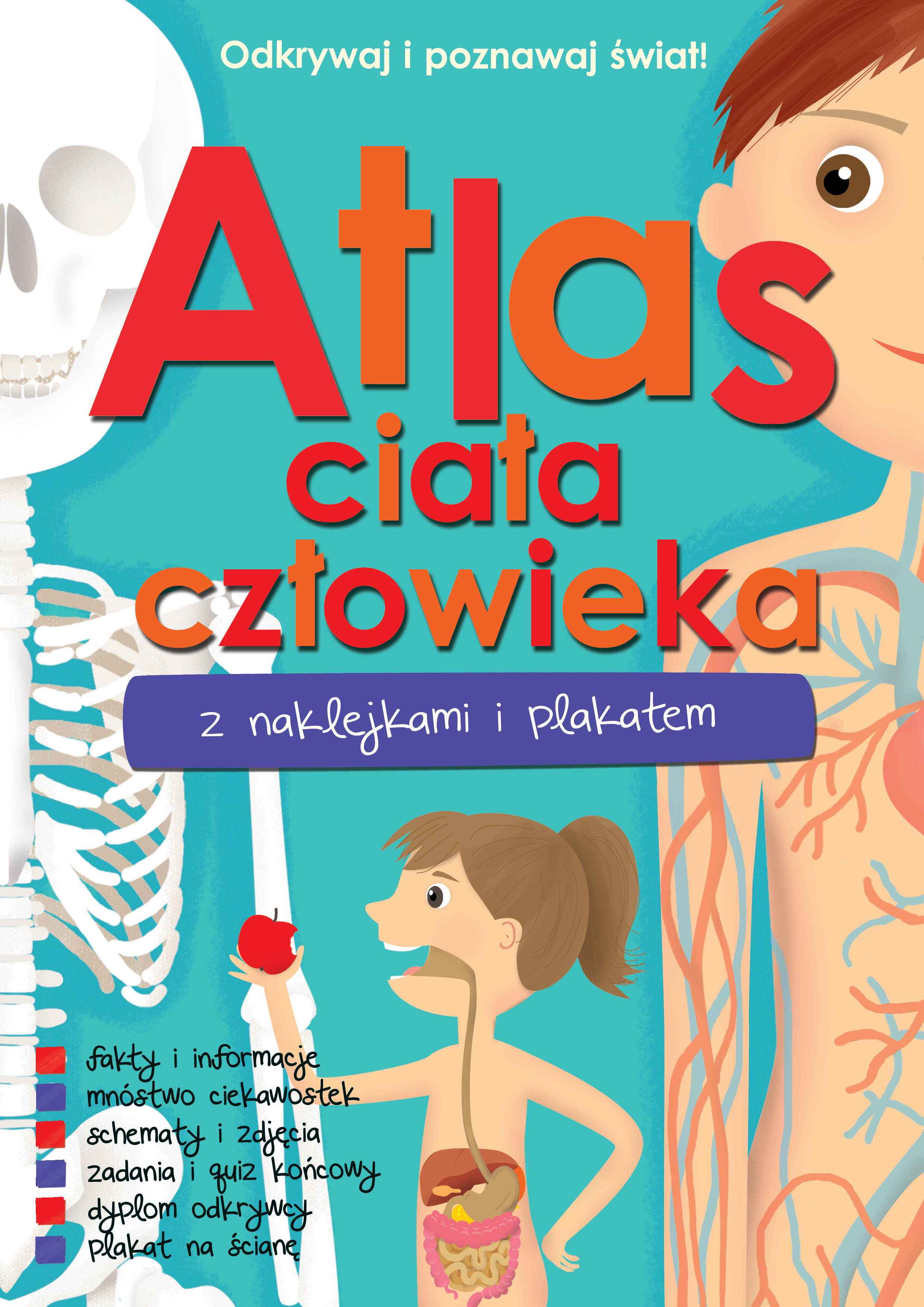 Image of Atlas ciała człowieka z naklejkami i plakatem