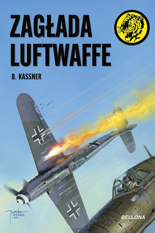 Image of Zagłada Luftwaffe