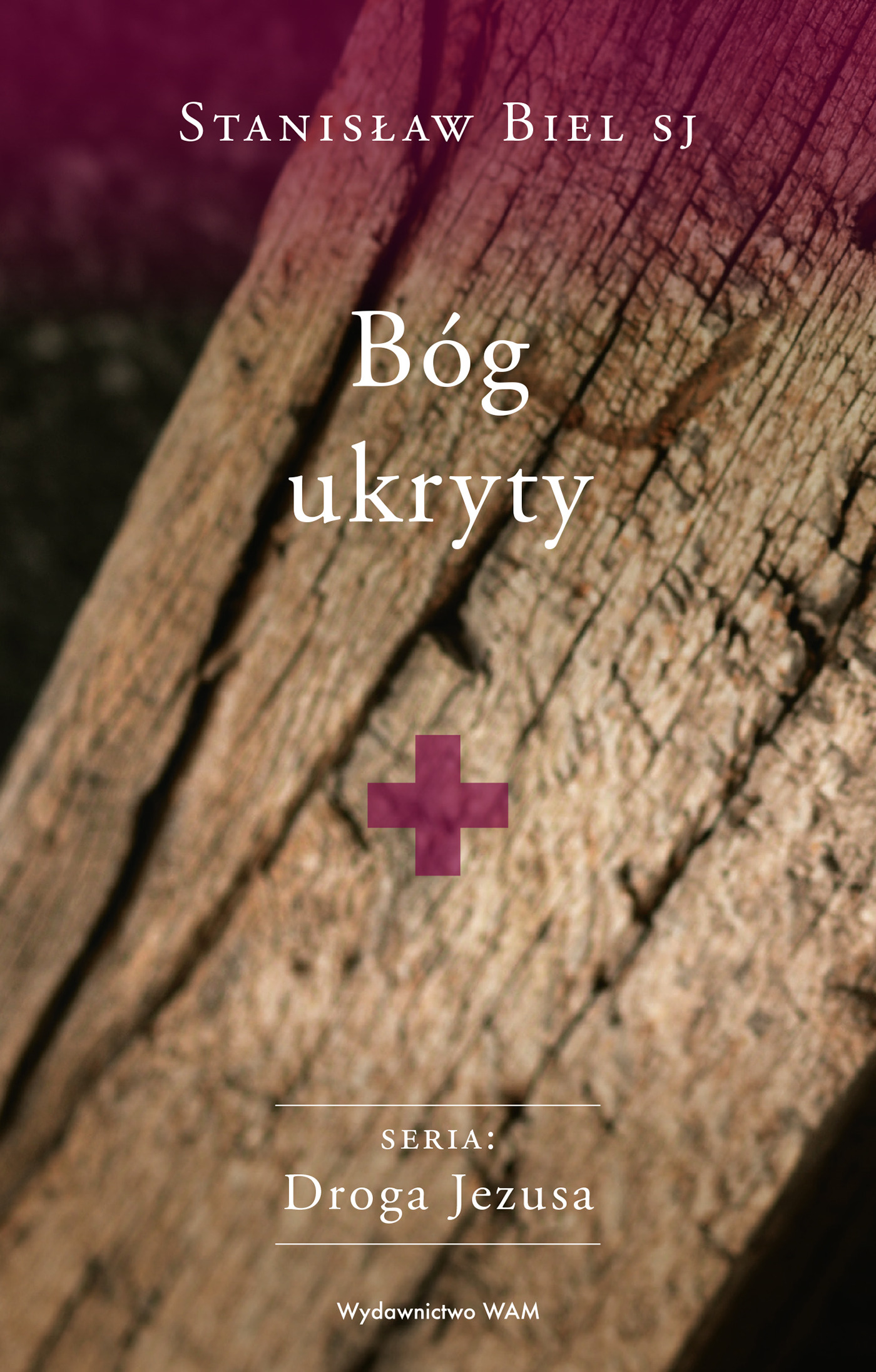 Image of Bóg ukryty Stanisław Biel SJ. Droga Jezusa