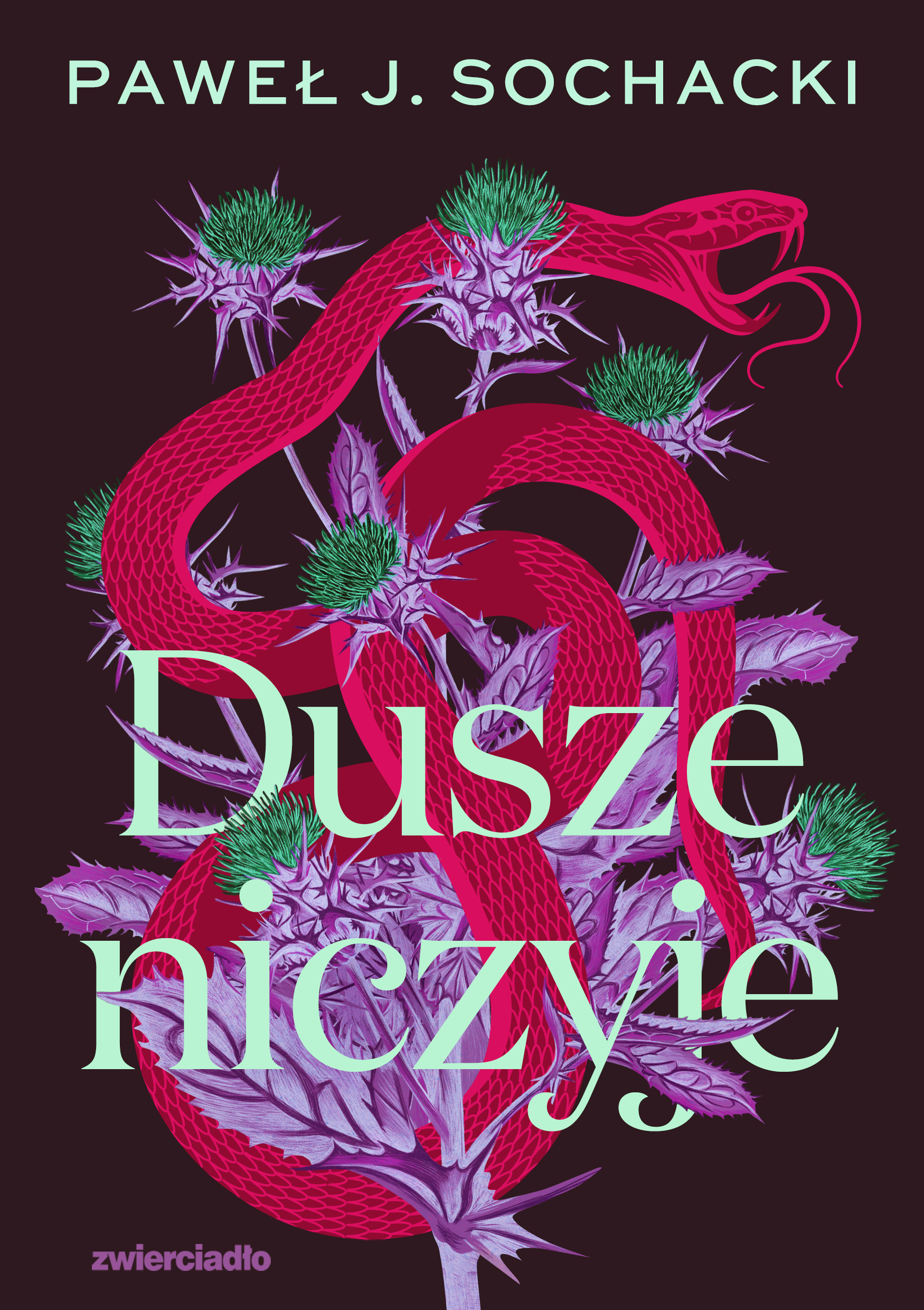 Image of Dusze niczyje
