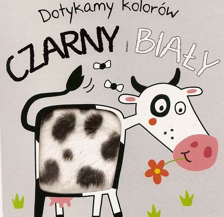 Image of Czarny i biały. Dotykamy kolorów