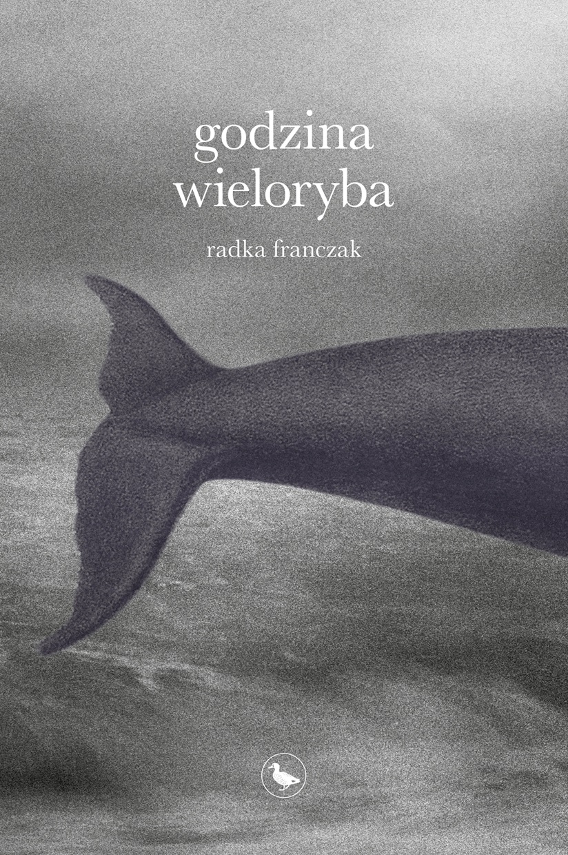 Image of Godzina wieloryba