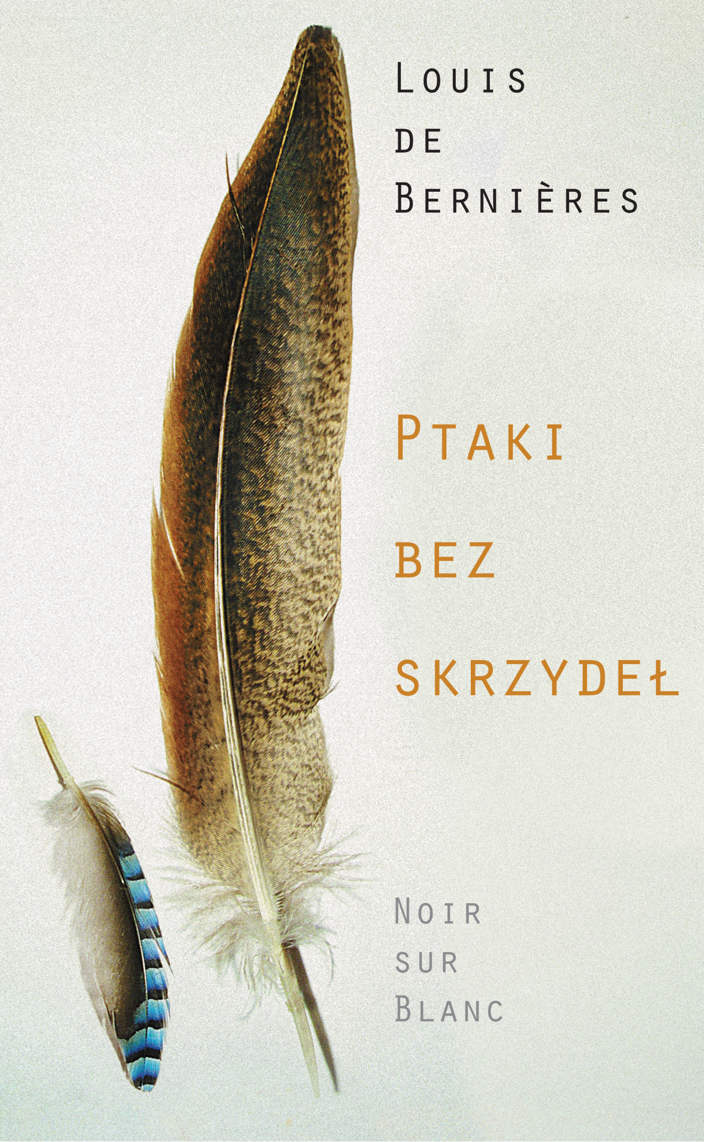 Image of Ptaki bez skrzydeł