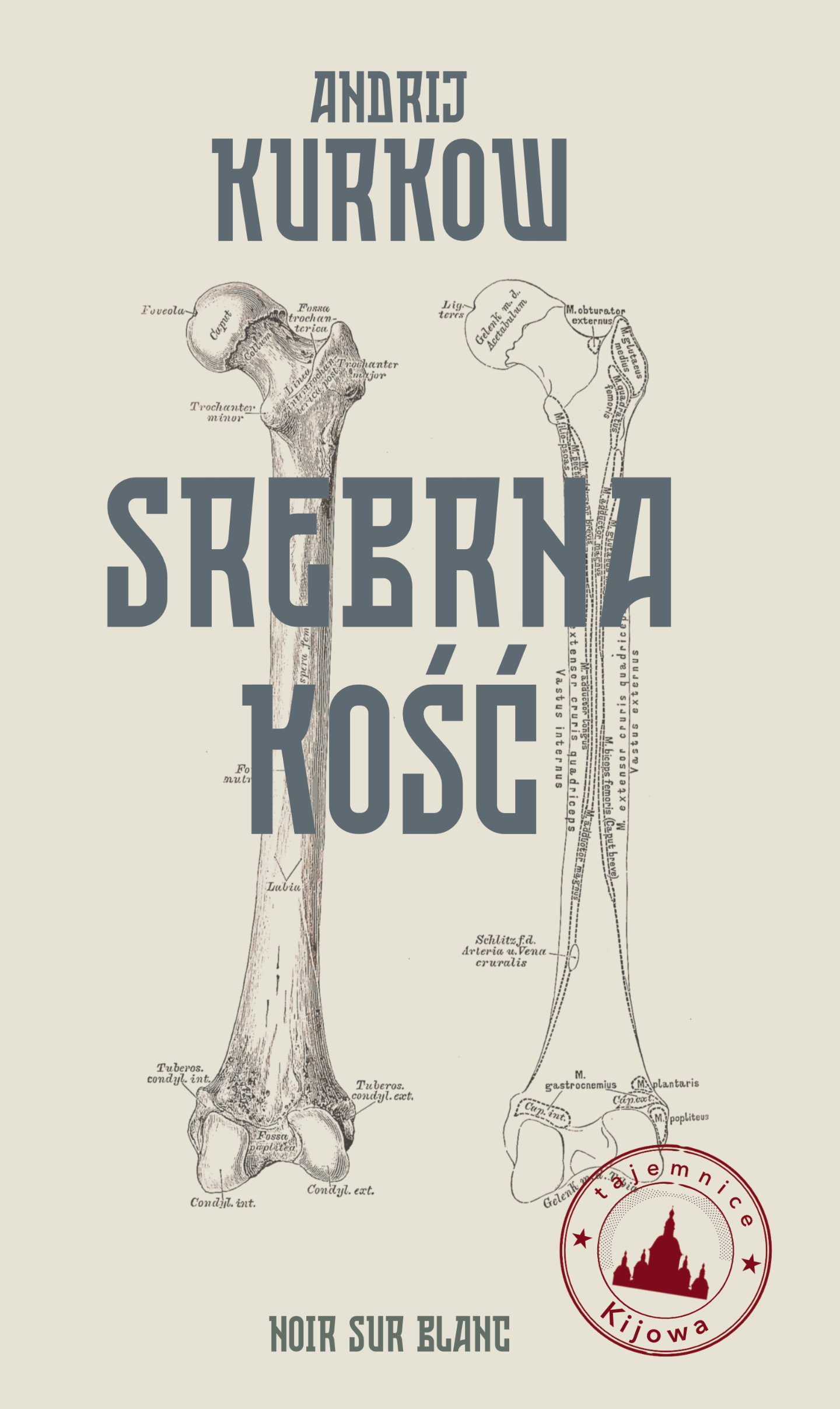 Image of Srebrna kość. Tajemnice Kijowa