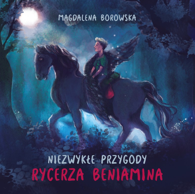 Image of Niezwykłe przygody rycerza Beniamina