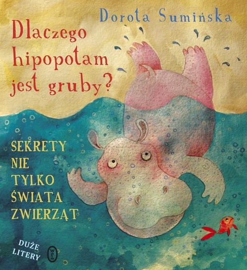 Image of Dlaczego hipopotam jest gruby?