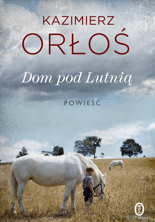 Image of Dom pod Lutnią