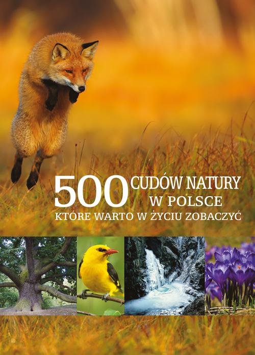Image of 500 cudów natury w Polsce, które warto w życiu zobaczyć