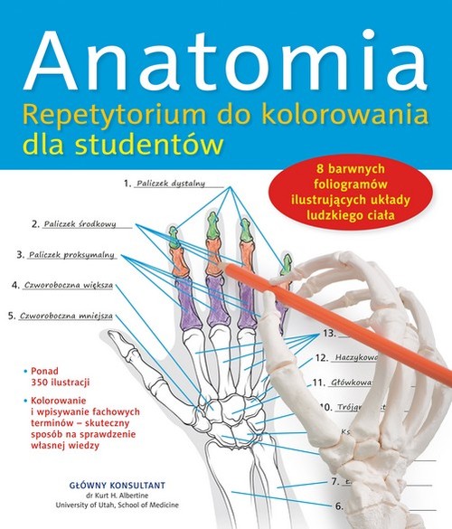 Image of Anatomia. Repetytorium do kolorowania dla studentów