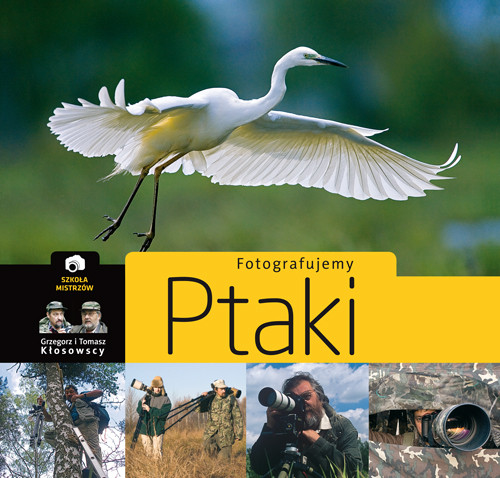 Image of Fotografujemy ptaki