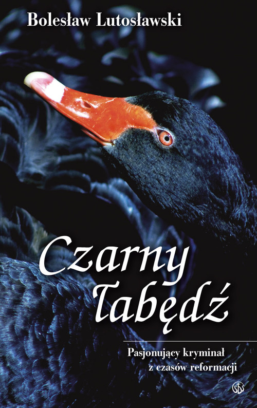 Image of Czarny łabędź Tajemnicza powieść o dojrzewaniu