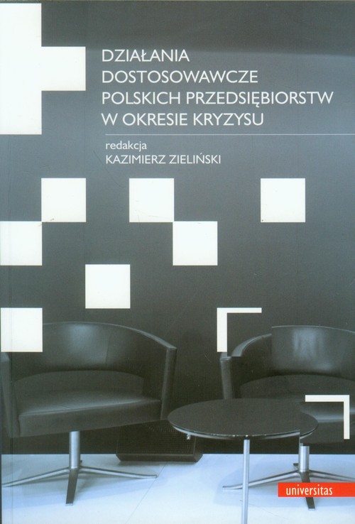 Image of Działania dostosowawcze polskich przedsiębiorstw w okresie kryzysu