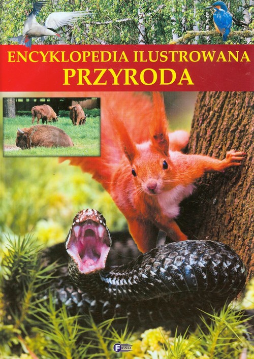 Image of Encyklopedia ilustrowana Przyroda