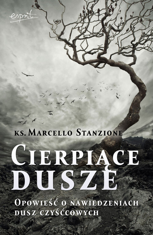 Image of Cierpiące dusze
