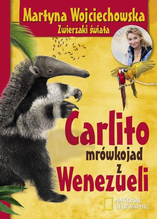 Image of Carlito mrówkojad z Wenezueli
