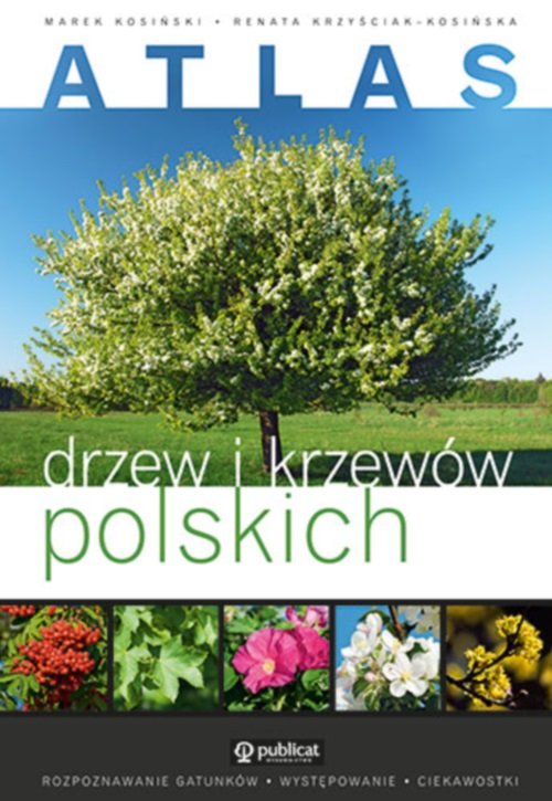 Image of Atlas drzew i krzewów polskich