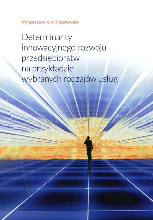 Image of Determinanty innowacyjnego rozwoju przedsiębiorstw na przykładzie wybranych rodzajów usług
