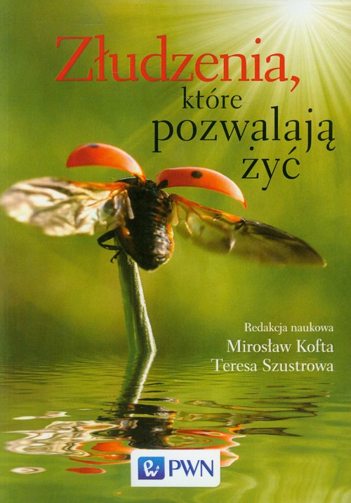 Image of Złudzenia, które pozwalają żyć Szkice ze społecznej psychologii osobowości