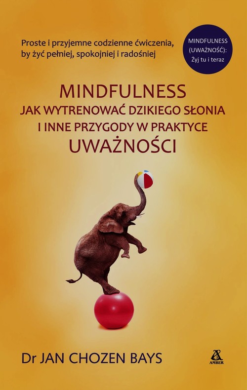 Image of Mindfulness Jak wytrenować dzikiego słonia i inne przygody w praktyce uważności