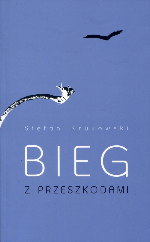 Image of Bieg z przeszkodami