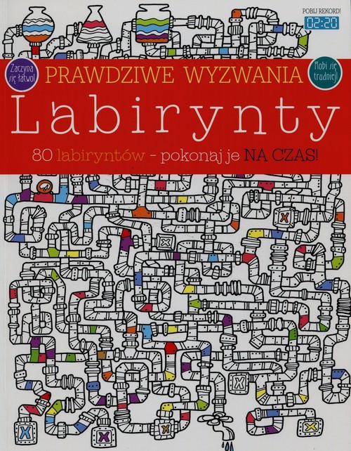 Image of Prawdziwe wyzwania Labirynty 80 labiryntów pokonaj je na czas