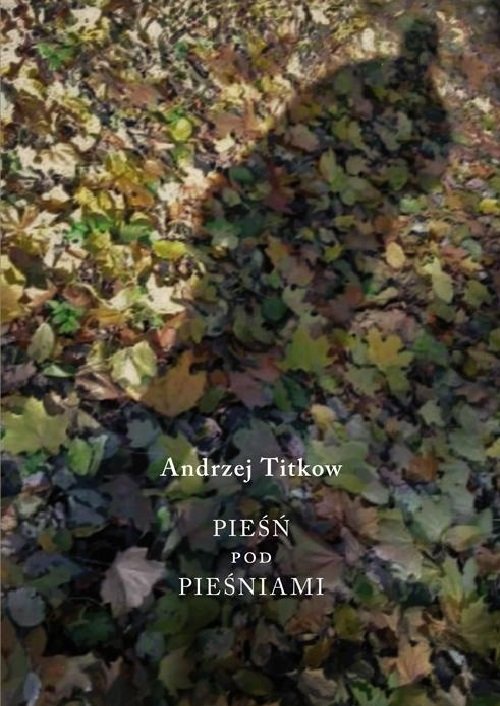 Image of Pieśń pod pieśniami