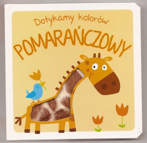Image of Dotykamy kolorów Pomarańczowy