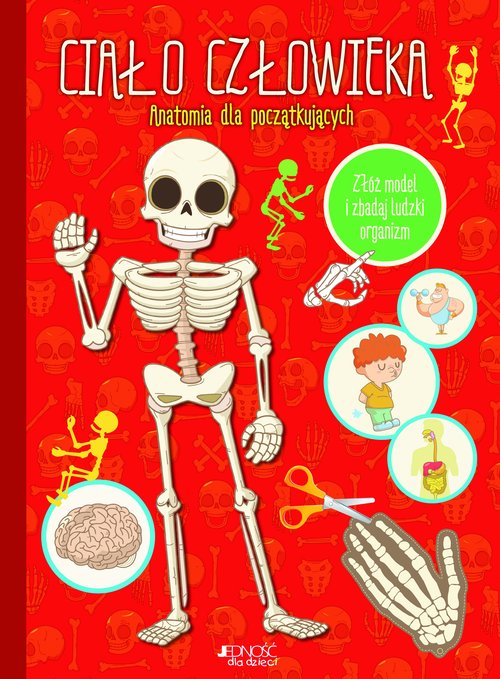 Image of Ciało człowieka Anatomia dla początkujących